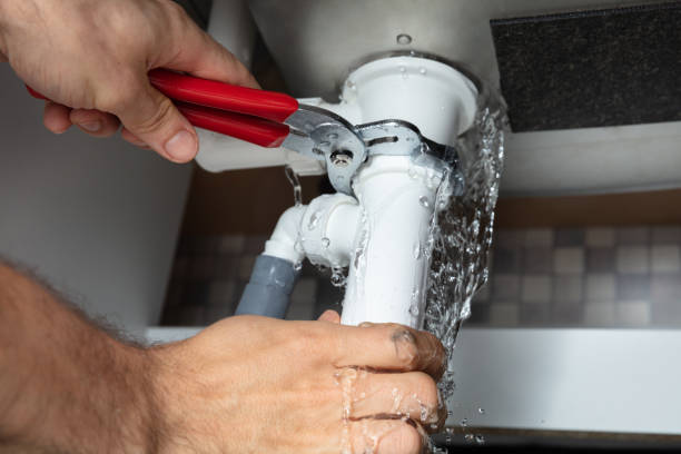Best Carpet water damage restoration  in Lyons, IL