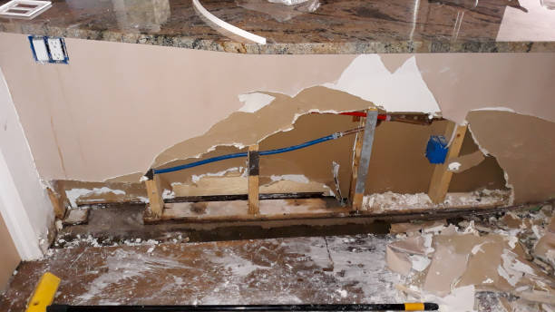 Best Water damage restoration specialists  in Lyons, IL