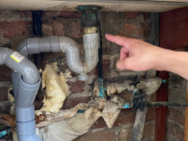 Best Emergency water extraction  in Lyons, IL
