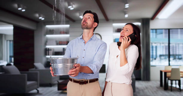 Best Commercial water damage restoration  in Lyons, IL