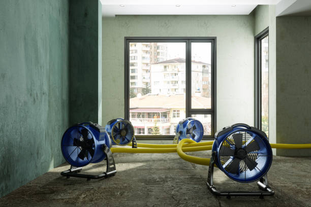 Best 24-hour water damage restoration  in Lyons, IL